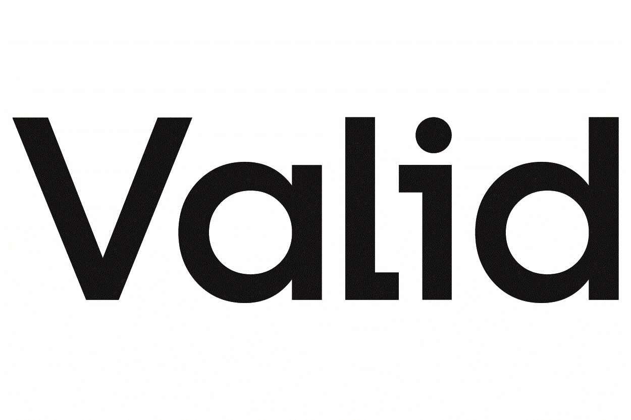 VALID Group logo