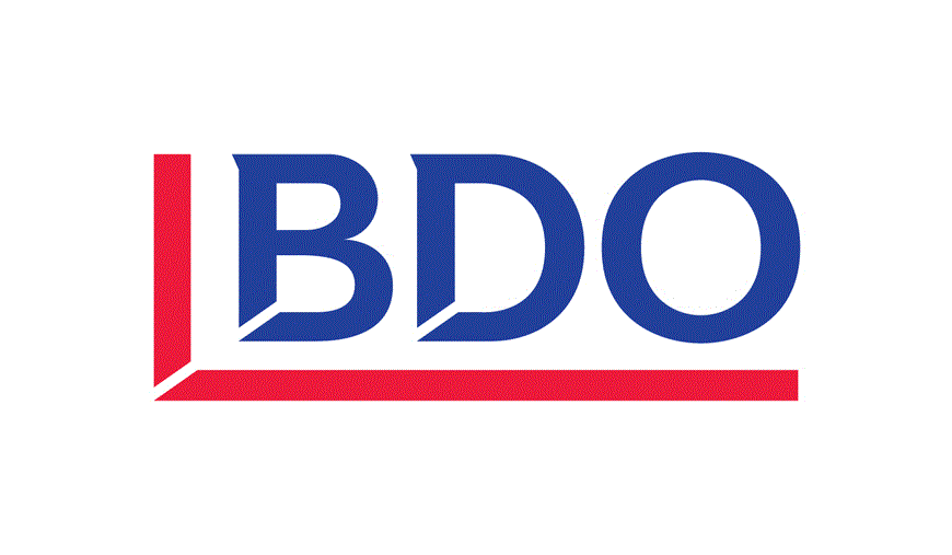 BDO IT CONSULTING LTD logo
