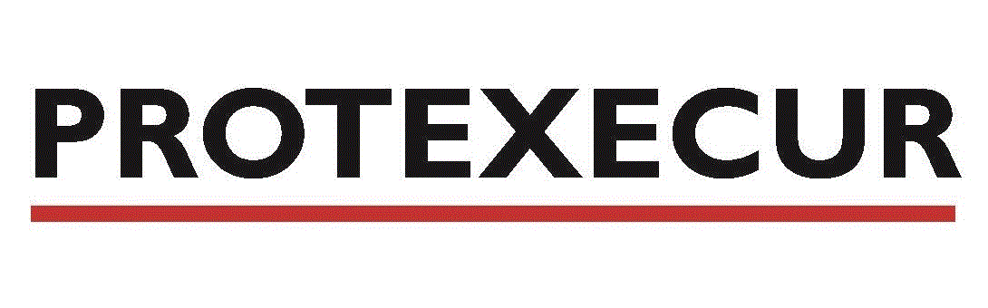 PROTEXECUR LTD logo